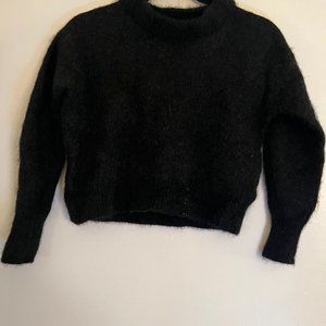 Black Boatneck Cropped Everlane Sweater